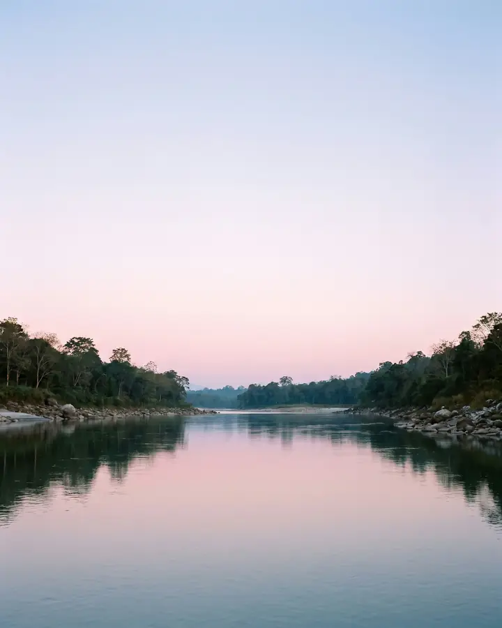 A calm river at dawn between forested banks under a pale pink sky.