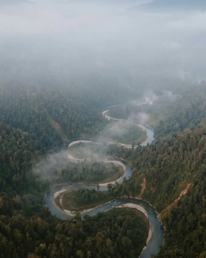 Aerial image of a river winding through thick forest under morning mist.